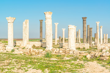 Fototapeta premium Qweilbeh, in present-day north of Jordan