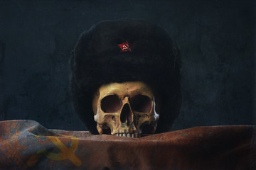 Skull with russian Uschanka and Flag