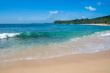 Green wave on Paradise beach, Sri Lanka