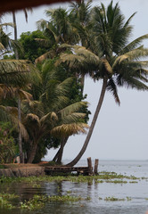 Paysage du K&eacute;rala