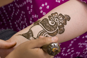 applying henna on hand, wedding ,Rajasthan, India