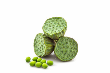 Calyx, Lotus seeds green .