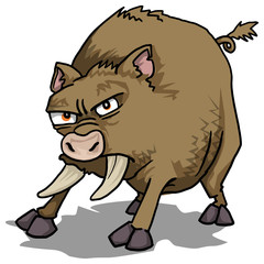 Evil angry boar