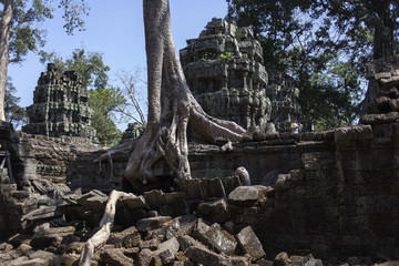 Fototapeta premium Cambodia, Angkor Wat