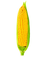 corn