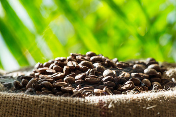 Obraz premium Kaffeebohnen im Sack