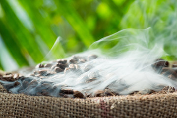 Frisch geröstete Kaffeebohnen im Sack