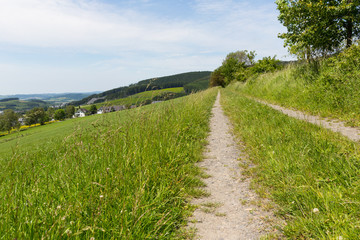 Wanderweg in Schmallenberg, Sauerland, Deutschland