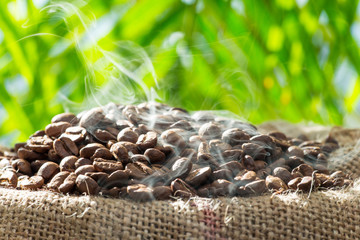 Frisch geröstete Kaffeebohnen im Sack
