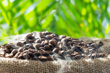 Frisch geröstete Kaffeebohnen im Sack