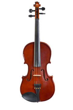 violin on white background