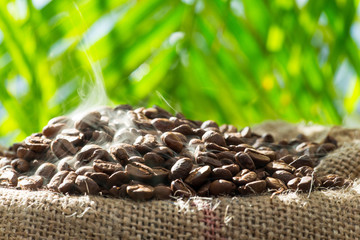 Frisch geröstete Kaffeebohnen im Sack