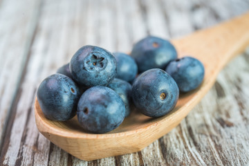 Blueberry