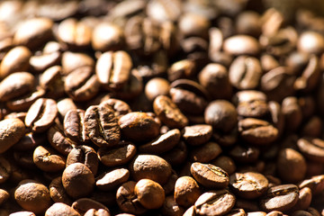 Frisch geröstete Kaffeebohnen