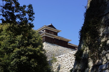 Fototapeta premium 松山城