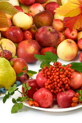 different fruits closeup