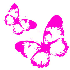butterflies design