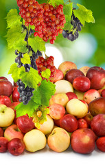 apples and grapes on a green background