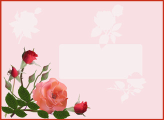 pink rose and small buds on light background