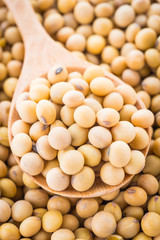 Soybean isolated on white background