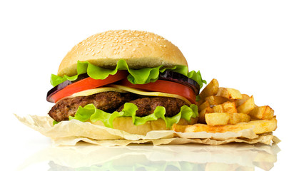 delicious cheeseburger with french fries