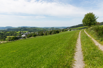 Fototapeta na wymiar Wanderweg in Schmallenberg, Sauerland, Deutschland