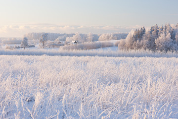 Ländliche Winterlandschaft mit Raureif auf Feld und Wald