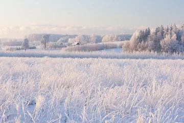 Crédence en verre imprimé Hiver Paysage d& 39 hiver rural avec givre blanc sur champ et forêt