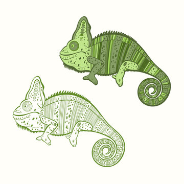 Set of chameleon isolated on white background. Hand drawn vector