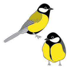 A cute titmouses  isolated on a white background.  Hand-drawn ve