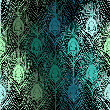 Seamless pattern with peacock feathers. Hand-drawn vector backgr