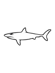 Shark fish evil