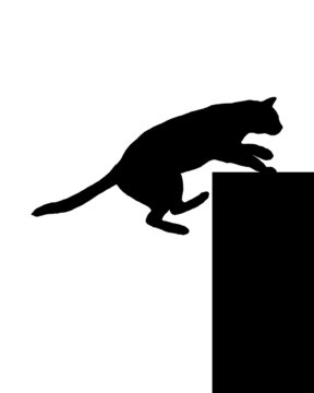 810 best katze springen images stock photos vectors adobe stock