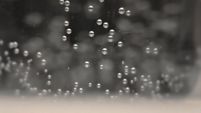 Water bubbles gray macro