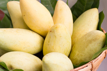 Organic mango from the garden. For health care