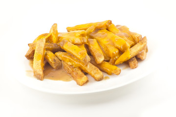 Gravy and Cheese Disco Fries