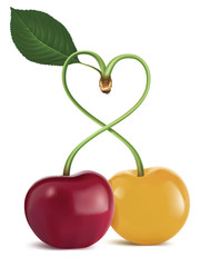 Heart symbol cherry, isolated. Vector illustration