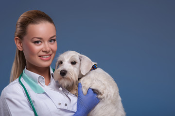 Vet holding a cute dog