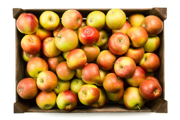 Apples
