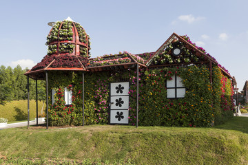 Парк цветов в Дубаи (Dubai Miracle Garden)