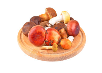 Boletus edulis mushroom on wooden board, isolated on white