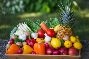 Fresh organic fruits and vegetables
