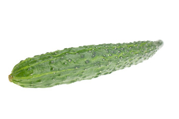 Cucumbers isolated on white background