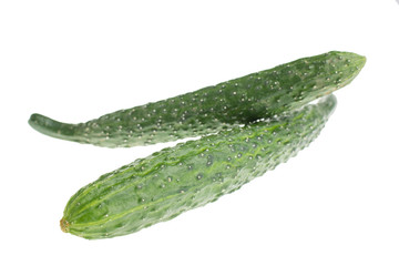 Cucumbers isolated on white background