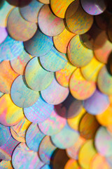 sequins pattern texture