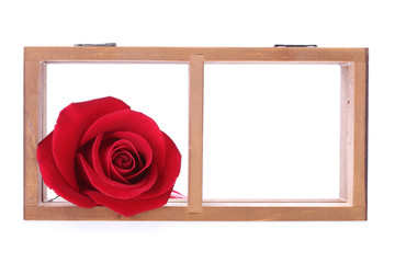 wood shelf decorated with red rose flowers isolated on white bac