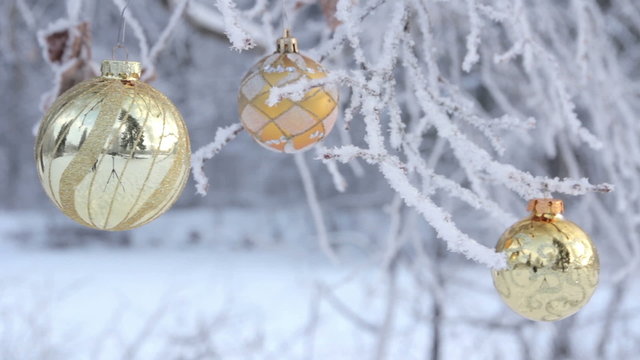 Glass Christmas balls on spruce