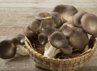 mushroom Bhutan