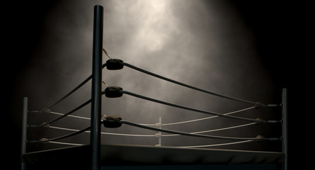Classic Vintage Boxing Ring