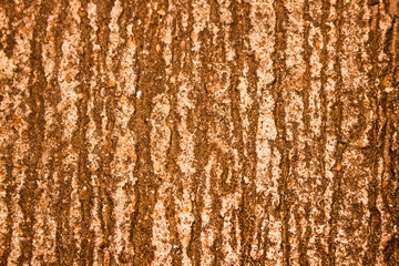 Cement concrete is scratched background.